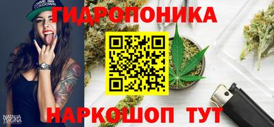 прущие грибы Краснознаменск