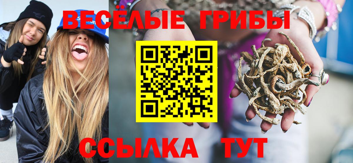 Псилоцибиновые грибы Psilocybe  Вход с VPN  Кохма 